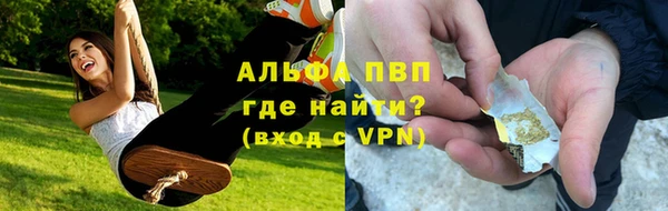 тгк Пестово