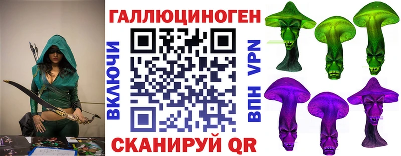 где найти наркотики  Сурск  Псилоцибиновые грибы Psilocybine cubensis 